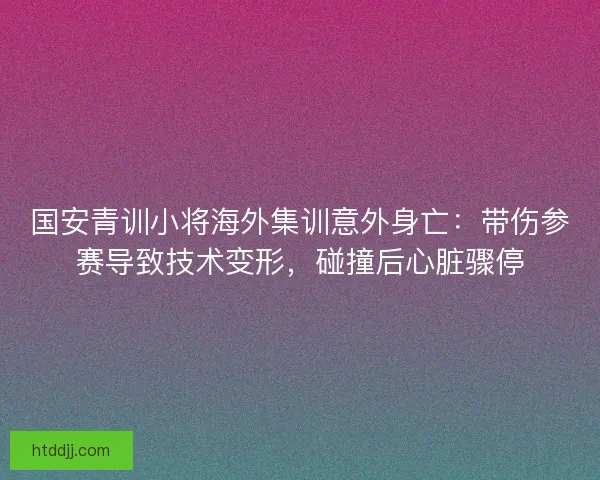国安青训小将海外集训意外身亡：带伤参赛导致技术变形，碰撞后心脏骤停