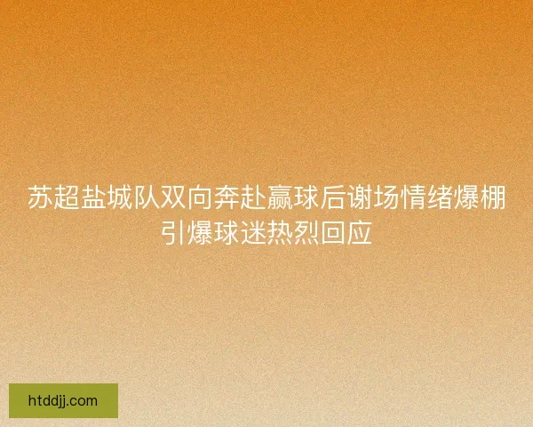 苏超盐城队双向奔赴赢球后谢场情绪爆棚引爆球迷热烈回应